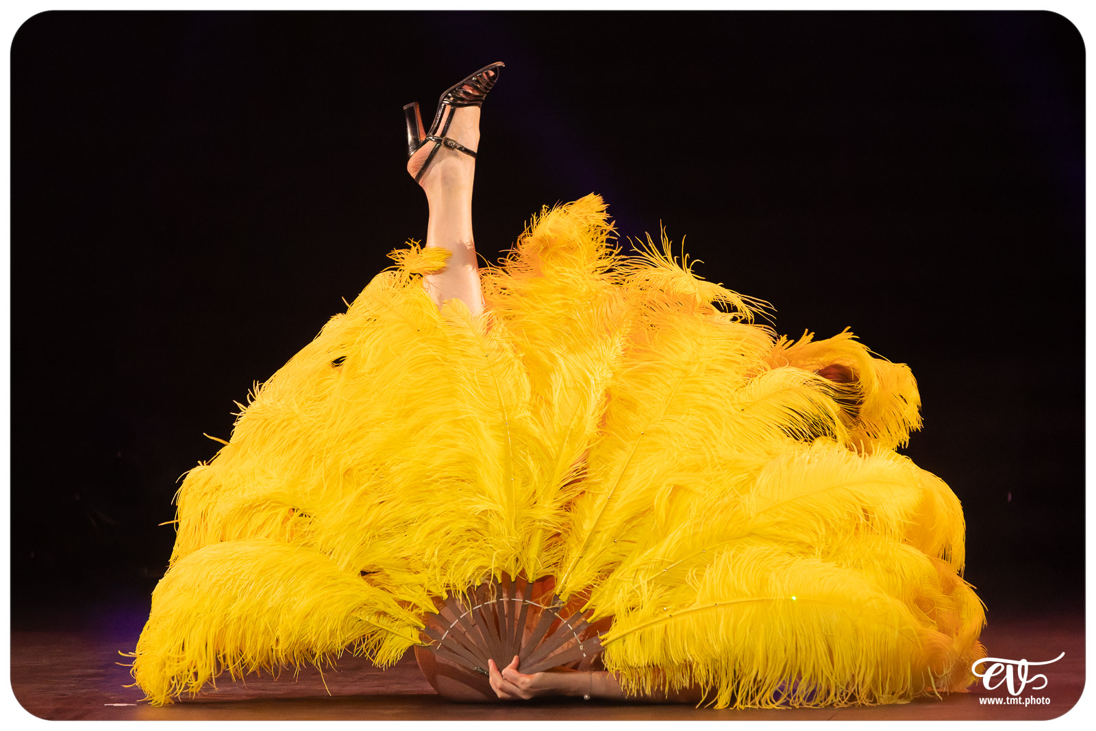 CABARET CANAILLE (LE BURLESQUE KLUB)